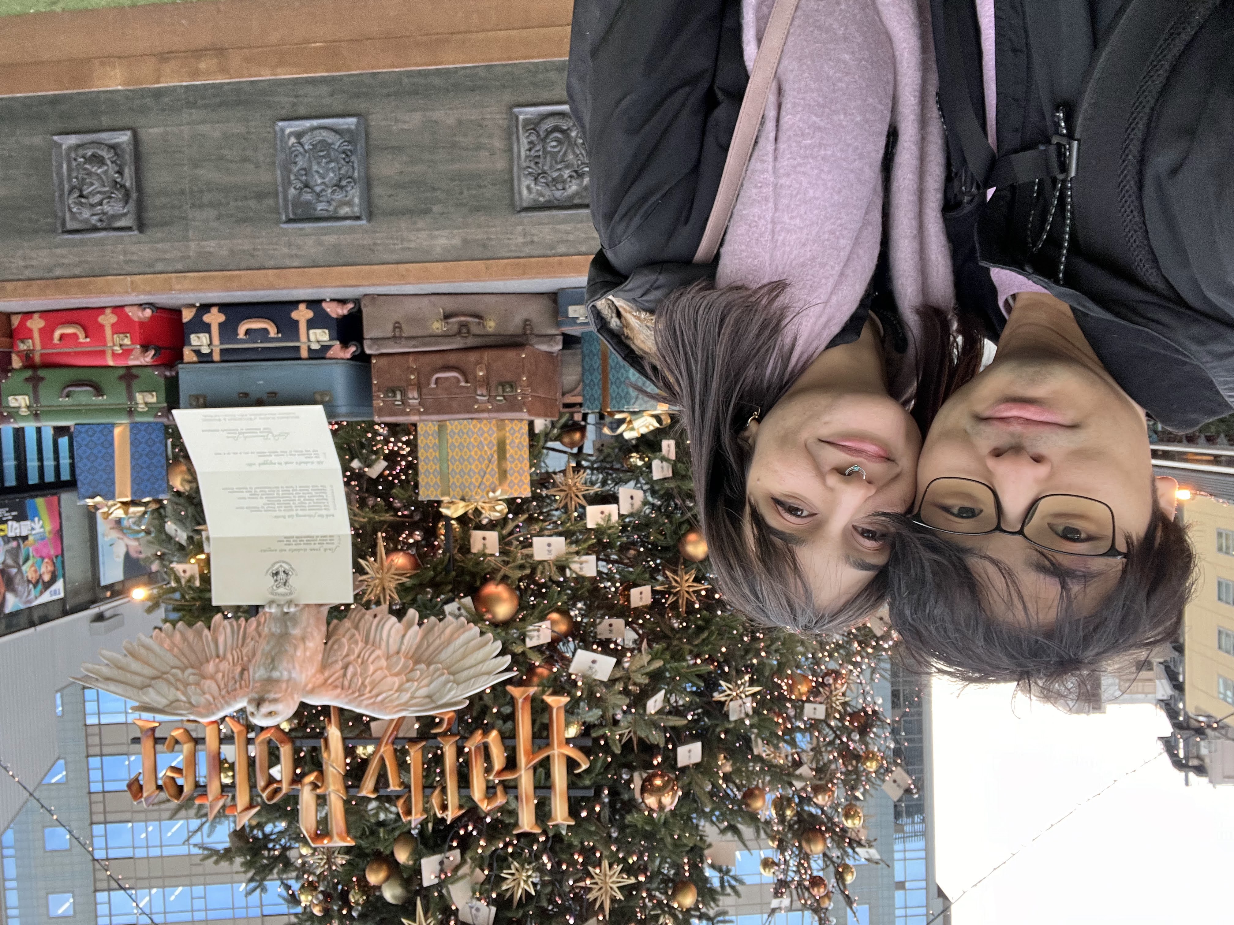 Natale a Harry Potter World