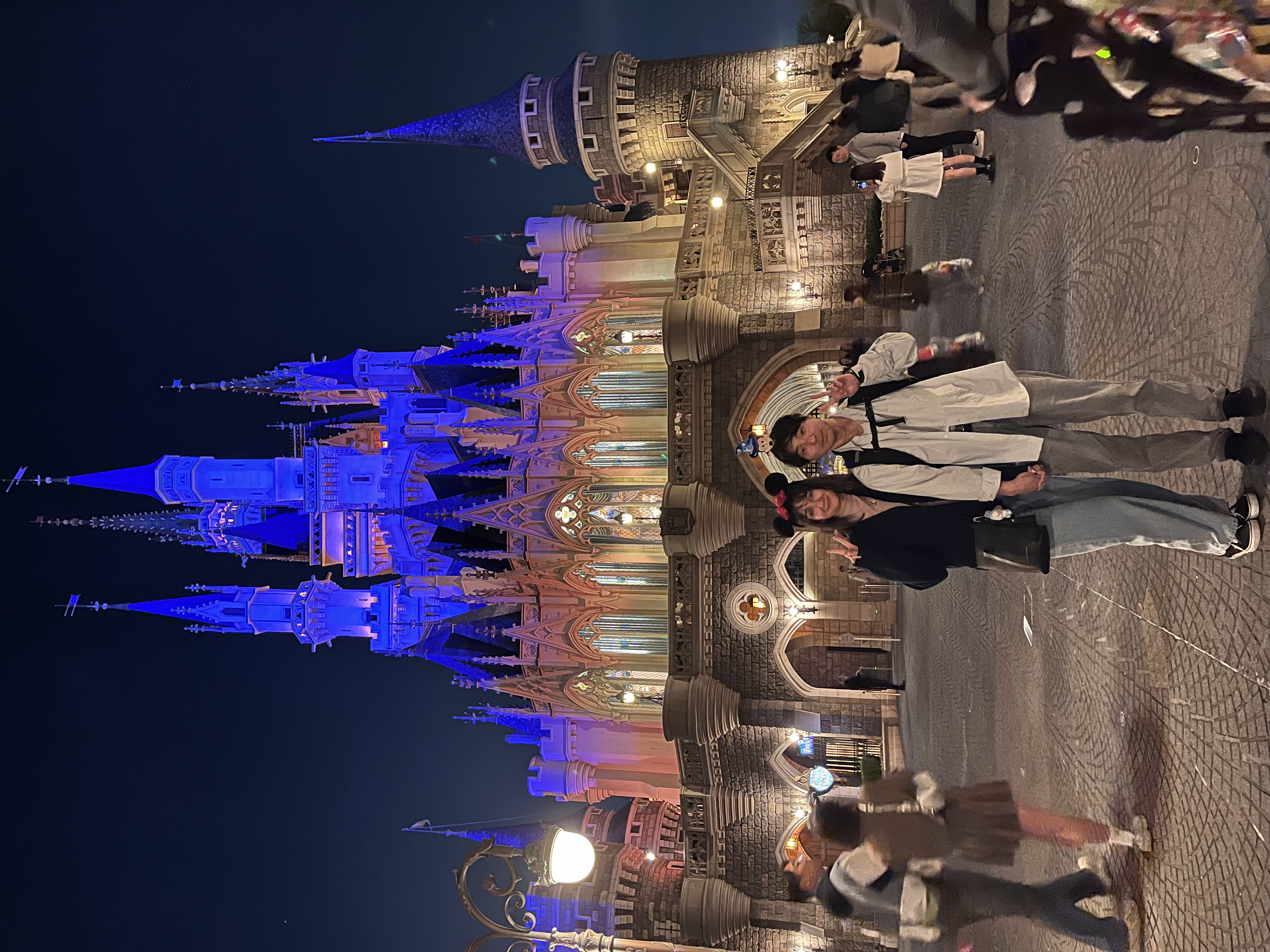 Disneyland di notte